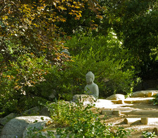 Mindfulness Meditation