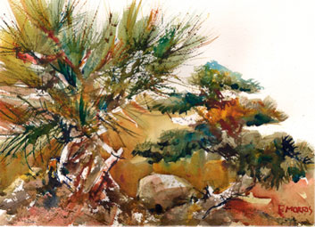 Plein Air Watercolor
